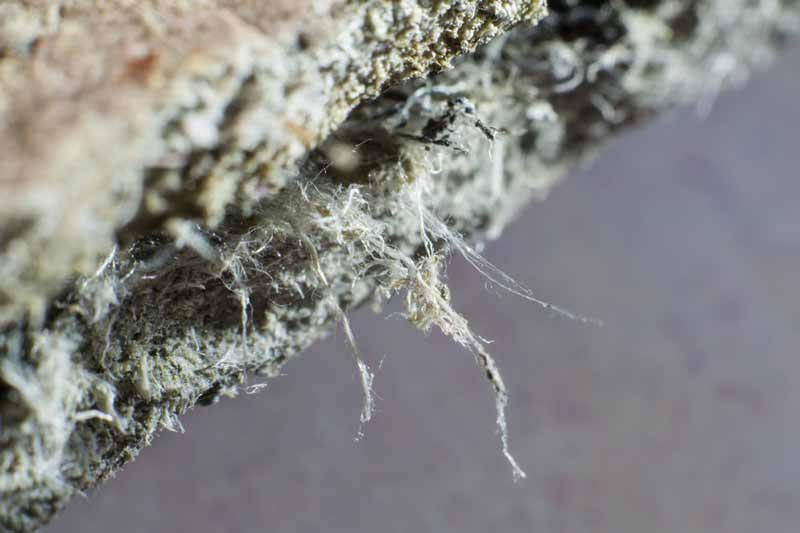 asbestos-fibres closup