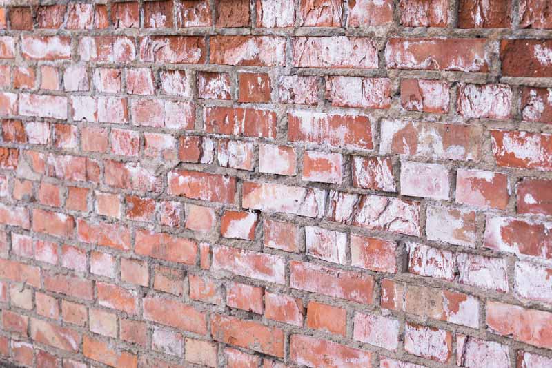 salt on surface of bricks